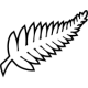 Nya Zeeland VM 2026 Damer
